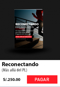Reconectando-2-207x300 